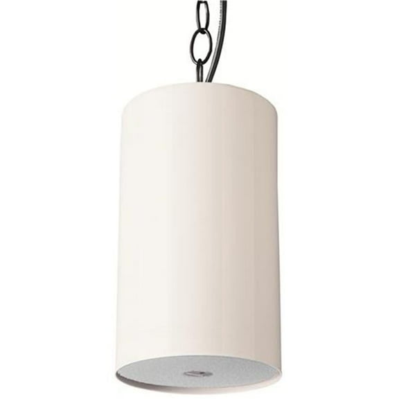 Pendant Speaker 5 watt White on White Grill