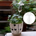 thumbnail image 3 of Dispositivo de riego de vidrio, plantas de interior, flores, riego automático de plantas de interior, riego automático, grado profesional, 3 of 8