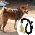 thumbnail image 1 of Juguete de cuerda para perros Salvador colgante Bungee Resistente a mordeduras negro, 1 of 10