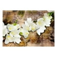 thumbnail image 3 of Tiptophomedecor Floral Wallpaper Wall Mural - Freesia On Wood, 3 of 4