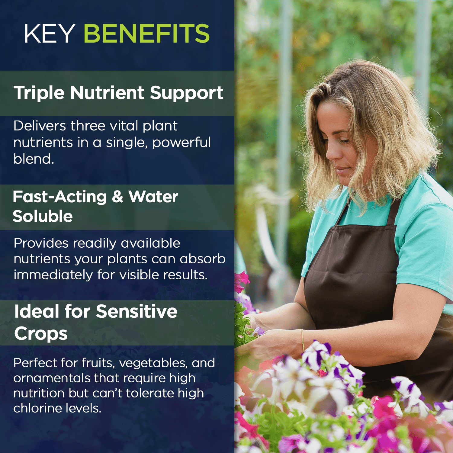 Supply Solutions | 0-0-22 Pro-Mag Trio - High Potassium, Magnesium & Sulfur Fertilizer for Lawns, Turf, Palm & Fruit Trees - Water-Soluble Plant Food for Stronger Growth & Higher Yields - 10lbs