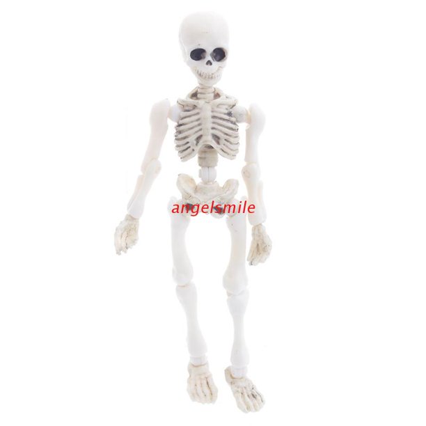 El Mejor Sr. Móvil Casa de los Tesoros Bones Skeleton modelo humano cráneo cuerpo completo mini figura juguete Halloween