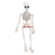 thumbnail image 1 of El Mejor Sr. Móvil Casa de los Tesoros Bones Skeleton modelo humano cráneo cuerpo completo mini figura juguete Halloween, 1 of 3