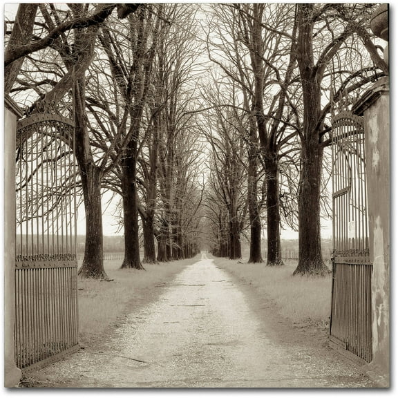 Trademark Fine Art "Veneto Giardini I" Canvas Art by Alan Blaustein