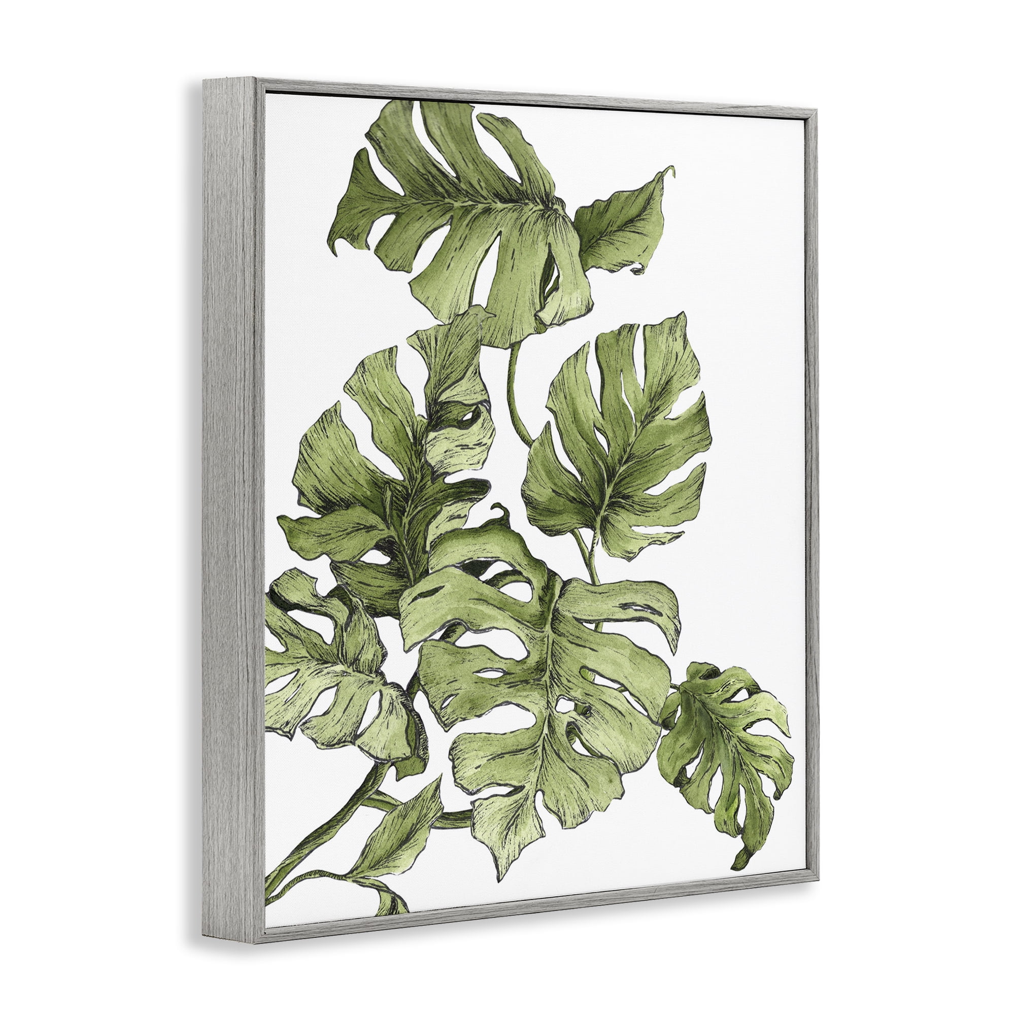 Stupell Industries Falling Monstera Leaves Botanical & Floral Painting Gray Framed Art Print Wall Art, 24 x 30