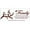 Burgundy, variant on Family Like Branches on a Tree Wall Vinyl Sticker Saying Decal 32Wx12H Color Options - Warm Grey