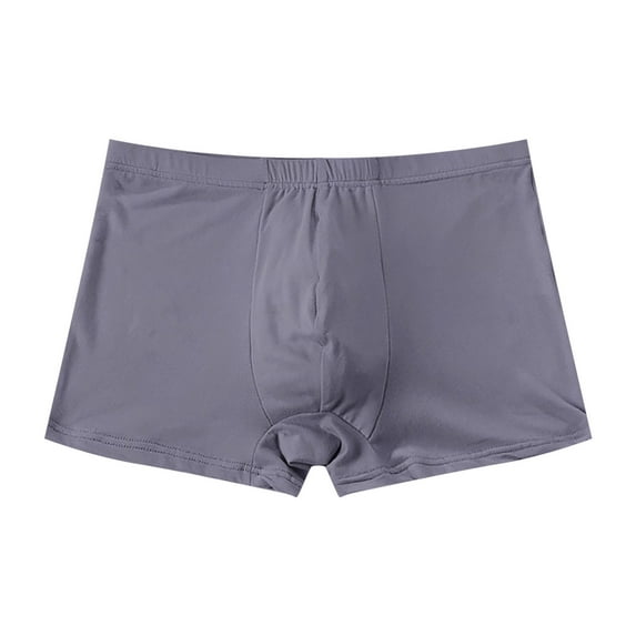 KaLI_store Underwear for Men Pack Mens Boxer Briefs Breathable Hot Mesh Underwear GY2,L