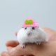 thumbnail image 5 of Gorro de hámster, gorro de animal de punto, adorable gorro para mascotas pequeñas, correa ajustable, diseño de ranitas, conejitos, arcoíris y zanahorias, portátil y plegable, de lana suave,, 5 of 9