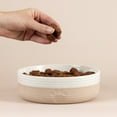 thumbnail image 2 of Mason Cash: Heart Paw Pet Bowl - 7", 32oz - Cream & Tan - Durable Ceramic Food-Water Dish, Microwave-Dishwasher Safe, Dog & Cat Meal Feeding-Hydration, 2 of 9