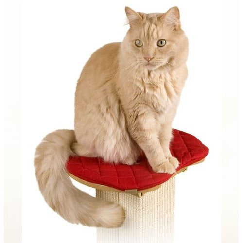 SmartCat Perch for the Ultimate Scratching Post