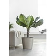 thumbnail image 3 of Ecopots Amsterdam Durable Modern Round Indoor/Outdoor Recycled Based Composite Flower Pot Planter, Taupe, 16", 3 of 4