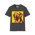 thumbnail image 2 of Labrador Retrievers, 2 of 11