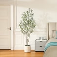 thumbnail image 3 of DR.Planzen Artificial Tree, 6 ft Indoor Multi-Trunk Olive tree, Perfect for Home, Office Decor, 3 of 9