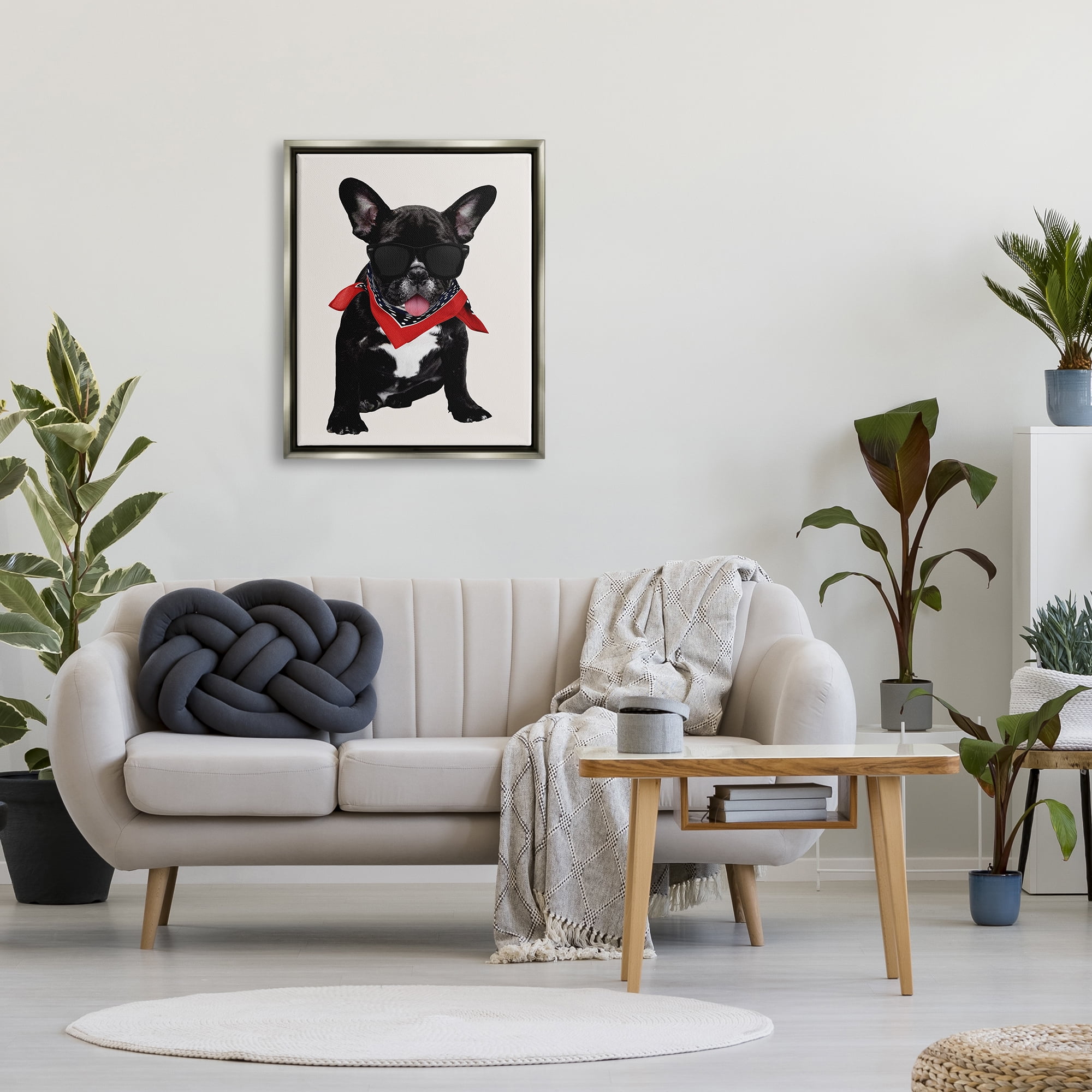 Stupell Cool Dude French Bulldog Pet Animals & Insects Painting Gray Floater Framed Art Print Wall Art