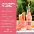 Sparkling Grapefruit Premium Mixer Refreshing Beverage for