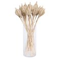 thumbnail image 1 of Vickerman H7LTL000 Lampe Lata 20 Po. sur Tige Botanicals, Naturel - 25 Pcs, 1 of 1