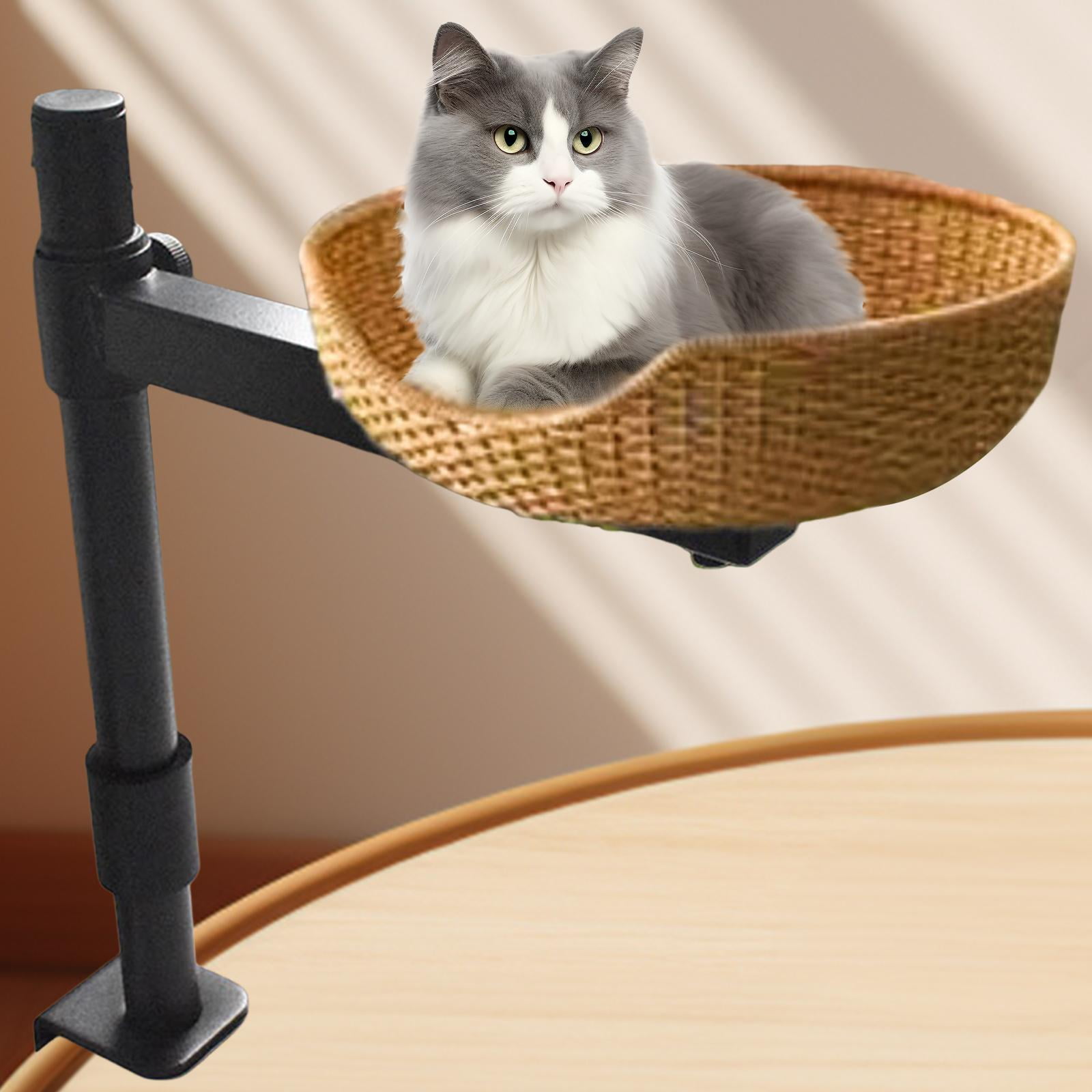 Zxpjkyu Desk Cat Bed Rack Adjustable Height Premium Sturdy Steel Professional Attachment