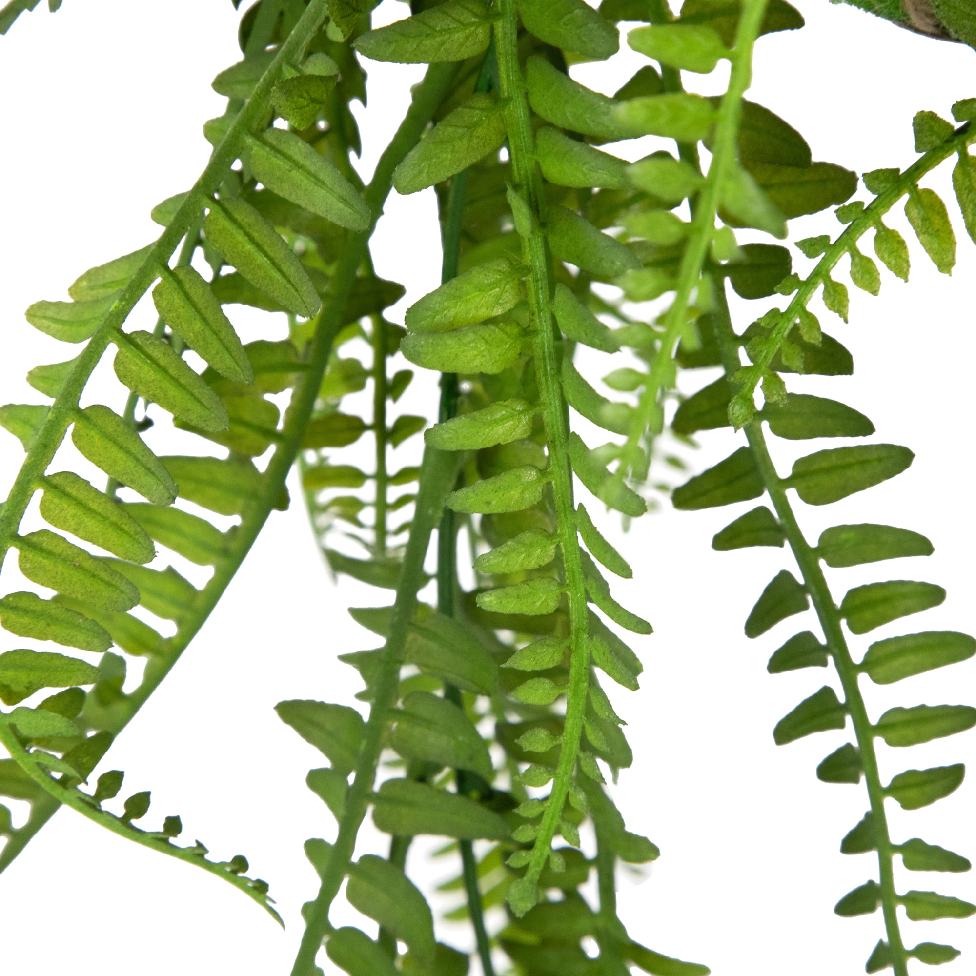 Northlight Artificial Fern Plant with Moss Ball and Hanging Jute Cord - 18"