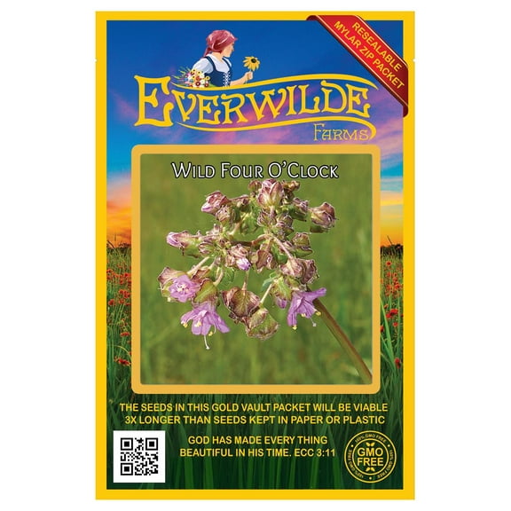Everwilde Farms - 60 Wild Four O'Clock Native Wildflower Seeds - Gold Vault Seed Packet
