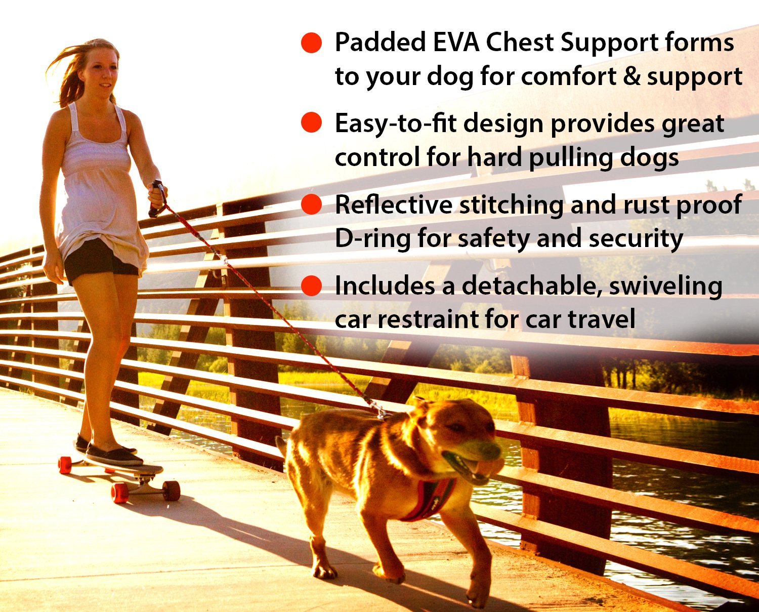 Buy Chest Plate Custom Fit Dog Harness, ERGONOMIC EVA FOAM CHEST PLATE