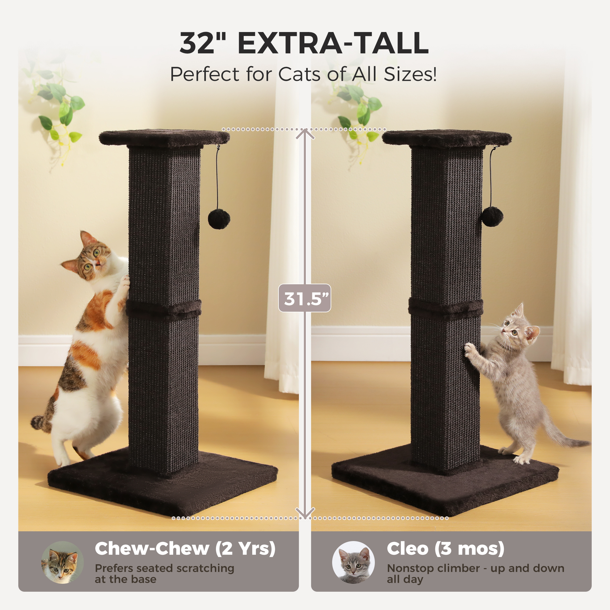Pawz Road 31-Inch Sisal Cat Scratching Post photo 2