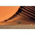 thumbnail image 2 of Ruoppolo, Luigi 32x23 White Modern Wood Framed Museum Art Print Titled - The Dune And The Tree, 2 of 4