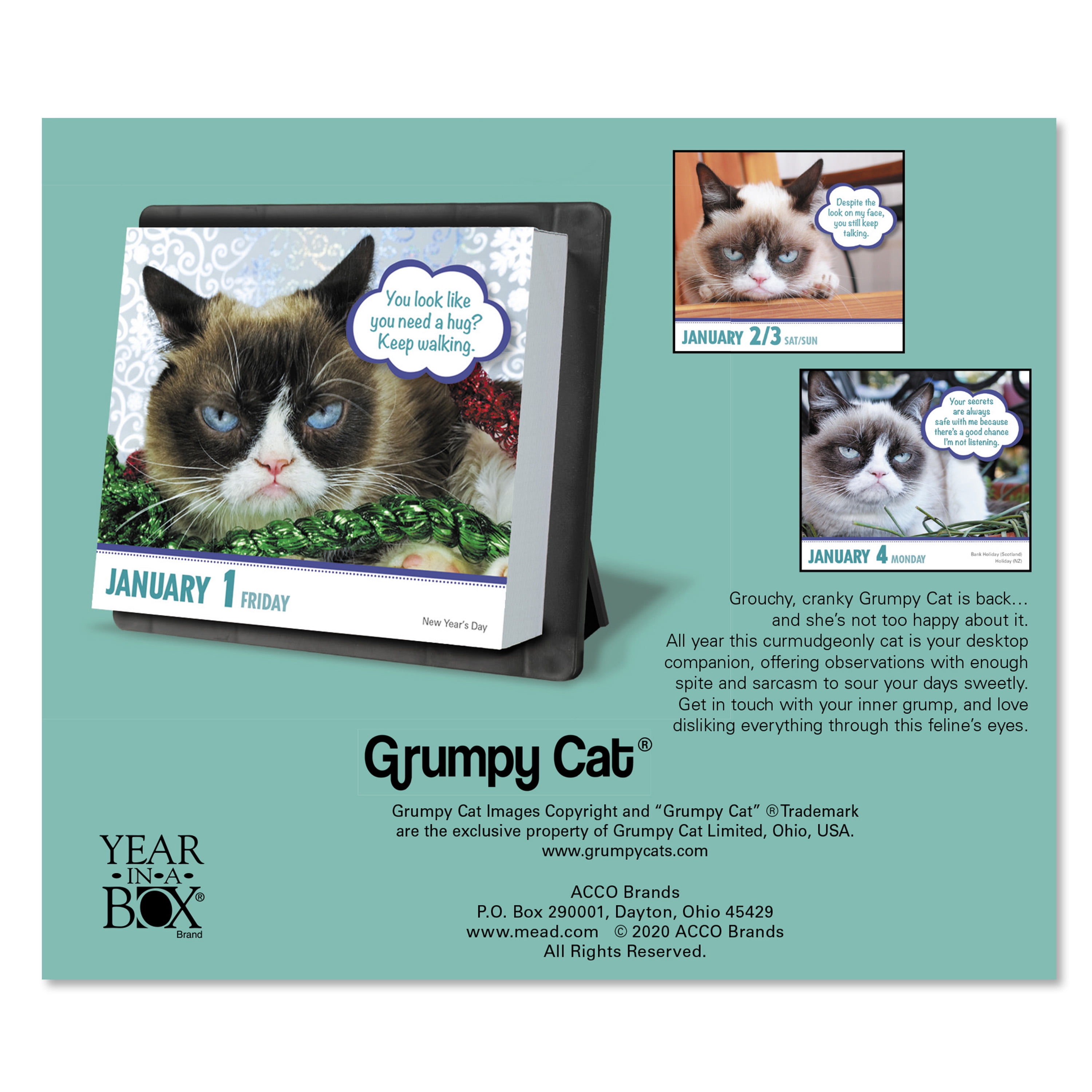 grumpy cat calendar 2021