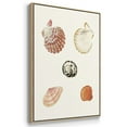 thumbnail image 3 of Pastel Knorr Shells VI - Framed Premium Gallery Wrapped Canvas L Frame 3 Piece Set - Ready to Hang, 3 of 9