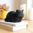 thumbnail image 1 of Napping Cat Garden Statue Polyresin Black Sleeping Tabby Decor Outdoor, 1 of 5