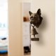 thumbnail image 1 of Uuiauoio Animal Series Welcome doorbell，Welcome Bell,Funny Animal Welcome Doorbell,Wall-Mounted Decorative Bell,Outdoor Garden Courtyard Entrance Decoration, 1 of 9