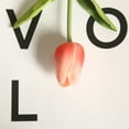 thumbnail image 3 of Ramo de arreglo de flores artificiales de tacto Real de tulipanes falsos de PU para decoración de boda en el hogar, oficina, 10 Uds., 3 of 5