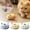 Grey+Khaki+Yellow, variant on Hamster Teaser That Escapes, Cats Catching Mouse Game, Interactive Cat Toy, Quirky Pet Interactive Tools, Hurry Up and Give It to Your House Pet (1 PCS,Khaki)