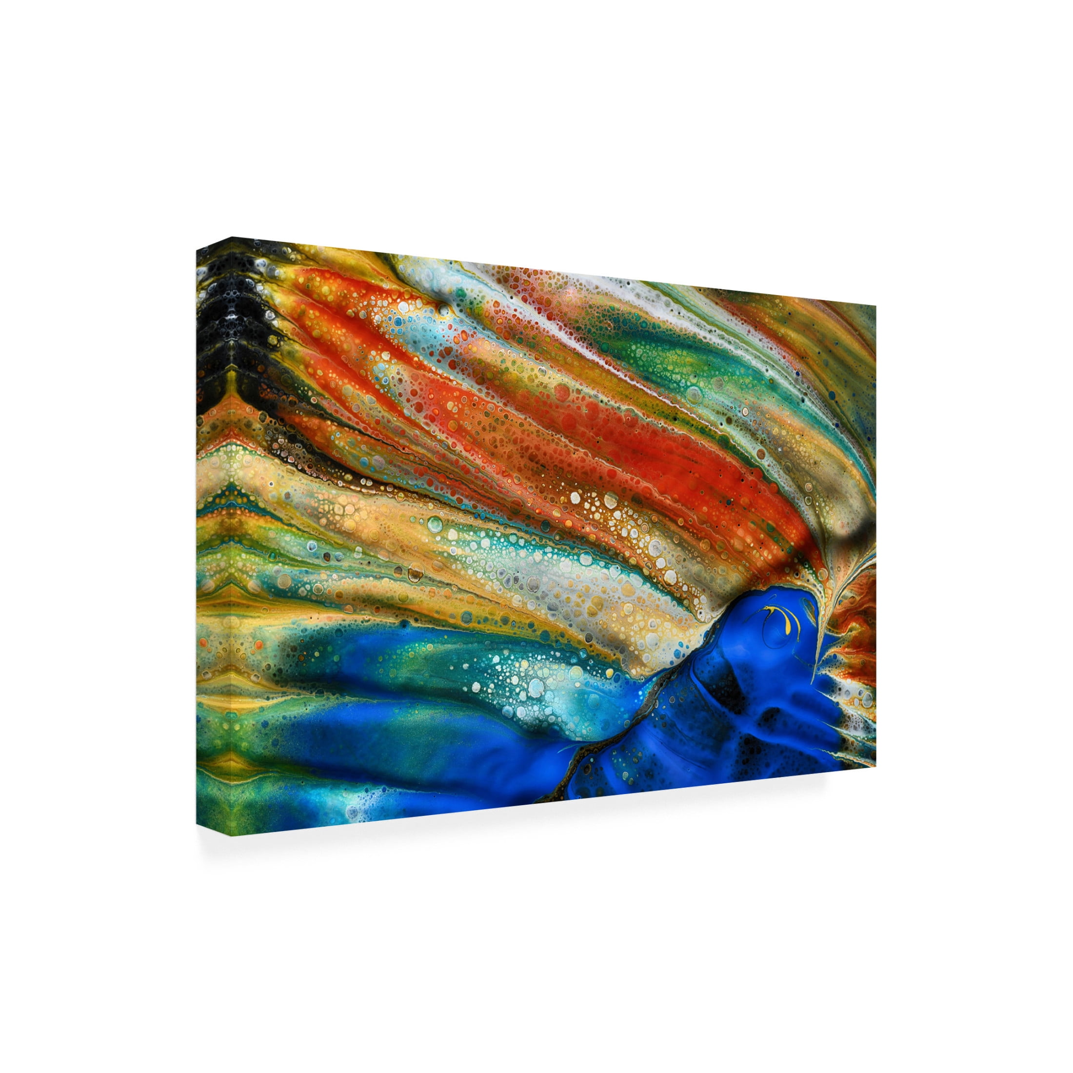 Trademark Fine Art Heidi Westum The blue fish Canvas Wall Art