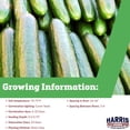 thumbnail image 2 of Harris Seeds Cucumber Stonewall F1, Treated, 500 Count, 2 of 7