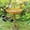 Resin Bird Bath Under $5 A2635, variant on Vacemry Resin Bird Bath, Outdoor Garden Decoration Resin Bird Bath and Feeder, Handmade Frog Ornament with Sunflower Design, Weather-Resistant Decor for Patio Lawn and Yard