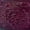 Acorn, variant on Member's Mark Mini Cocottes Embossed Fall Design, 4-Pack