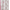 Pink Floral, variant on Paris Hilton That's Hot Luxe Plush Oversized Reversible Pink Throw, for Adults and Teens
