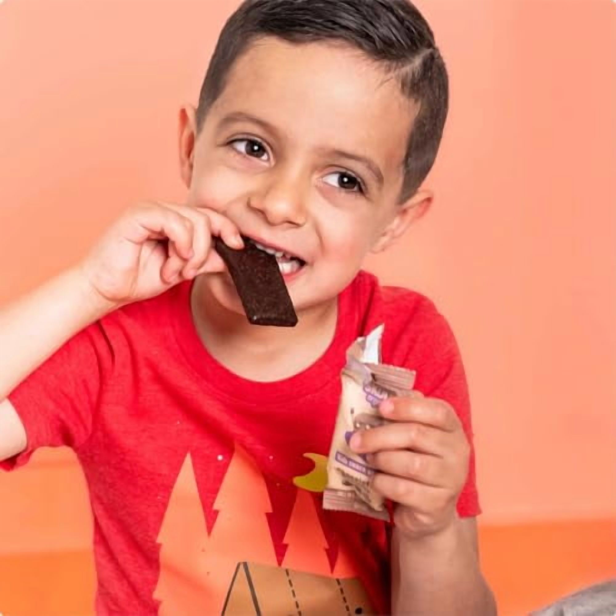 Skout Organic Chocolate Brownie Kids Snack Bars (18 Pack) | Organic Kids Snack Bars | School Snacks & Lunch Snacks | No Refined Sugar | Vegan | Gluten, Dairy, Peanut, Seed Oil Free