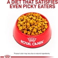 thumbnail image 2 of Veterinary Diet Renal Support S Dry Dog Food 17.6 lbs., 2 of 2