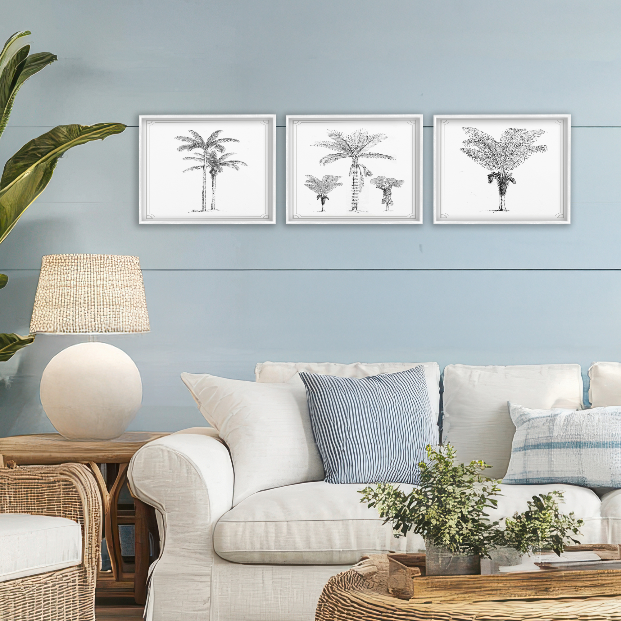 Minimal Vintage Palm Tree Sketches 3 Piece White Framed Giclee Art Set, design by Lettered and Lined