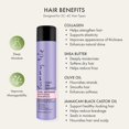 thumbnail image 4 of Sunny Isle Curly Girl Friendly Curl Defining Moisturizing Shampoo 10.1oz, 4 of 9