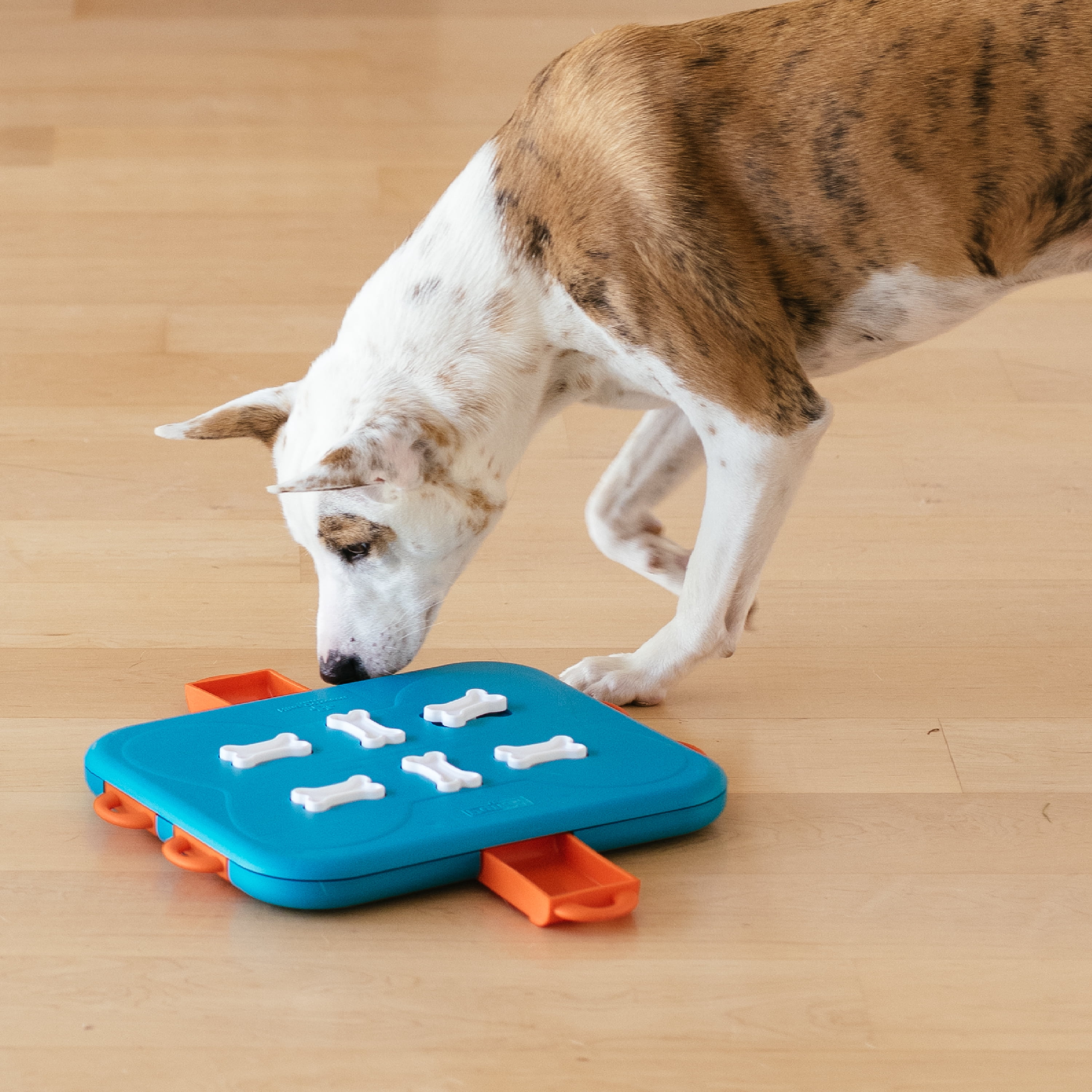 Outward Hound by Nina Ottosson Dog Casino Treat Puzzle Enrichment