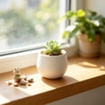 thumbnail image 4 of Mini Flower Pot, Small Round Plastic Planter Ribbed Nursery Pot Decorative Succulent Container, Cactus Herb Bonsai Desktop Planter for Home Office Windowsill Garden Decoration, 4 of 6