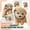 E001- Beige, variant on Squishy Stress Toy, Slow Rising Squishy Puppy, Anxiety Relief ItemsforKids, Cute Desk Decorations, 1 Pc