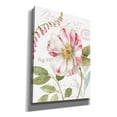 thumbnail image 2 of Epic Graffiti 'Rainbow Seeds Botanical II' by Lisa Audit, Canvas Wall Art, 12"x16", 2 of 8