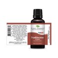 thumbnail image 3 of Plant Therapy 30mL Essential Oil, 1 Ounce, Frankincense Carterii, 3 of 7