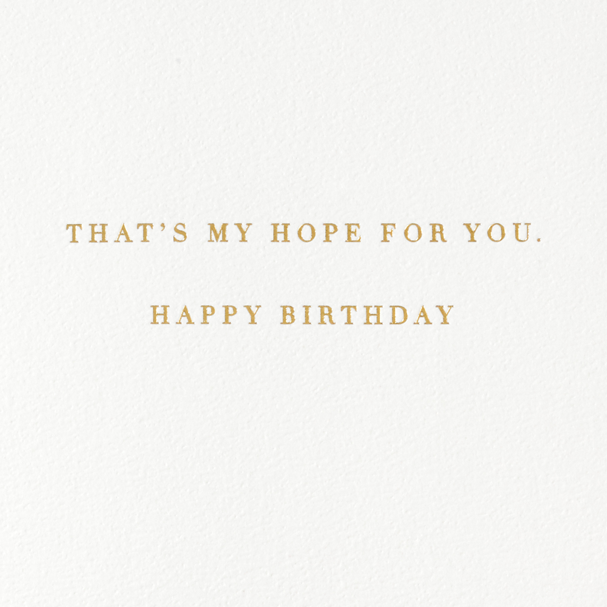 Hallmark Signature Birthday Card (Your Best Year Ever)