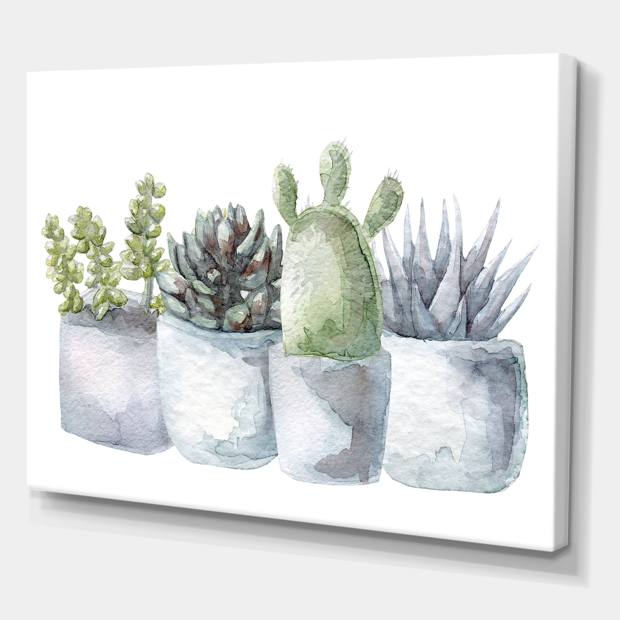 Succulent and Cactus House Plants I 40 in x 30 in Painting Canvas Art Print, by Designart
