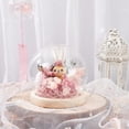 thumbnail image 2 of Glass Display Showcase with Base Decorative Display Dome Miniature Case Snowglobe for Fairy Lights Plants Flower Craft Display Beach Christmas Decoration 3x4inch for diy, 2 of 9
