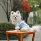 thumbnail image 3 of Greeniant Ropa para mascotas Cálido Mantener Cómodo Estilo chino tradicional Ropa para mascotas Trajes Tang Abrigos Disfraces Otoño Invierno frío Ropa para mascotas Azul L Greeniant PT000678-04, 3 of 4